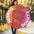 Dunkin Donuts- Inspired DunKings Umbrella