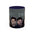 Twilight the Movie Accent Coffee Mug (11, 15oz)